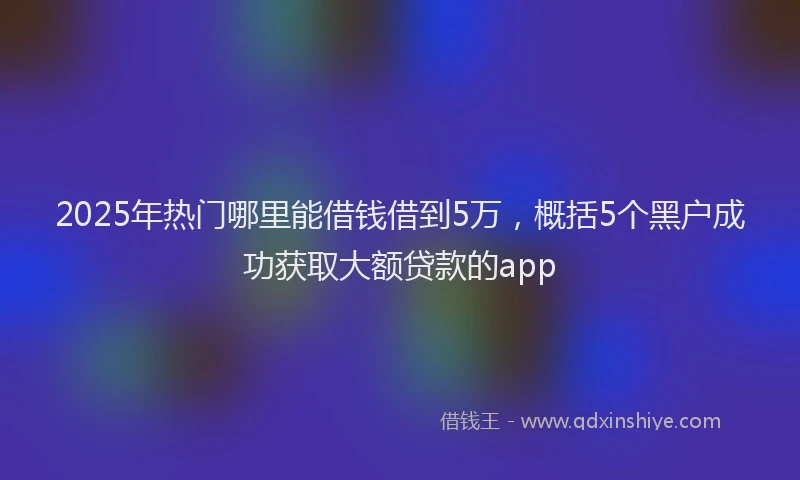 2025年热门哪里能借钱借到5万，概括5个黑户成功获取大额贷款的app