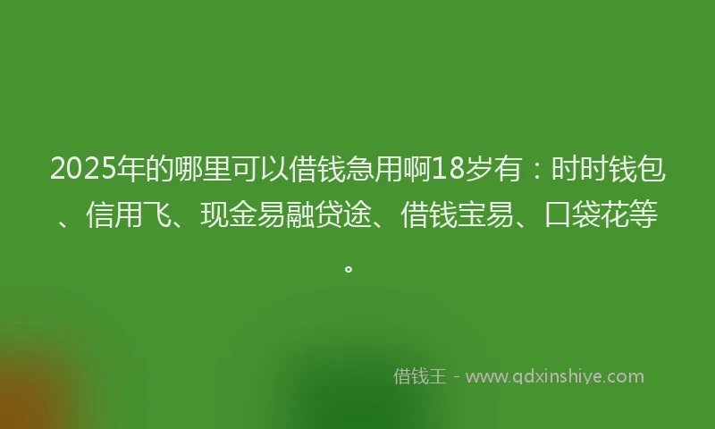 2025年的哪里可以借钱急用啊18岁有：时时钱包、信用飞、现金易融贷途、借钱宝易、口袋花等。