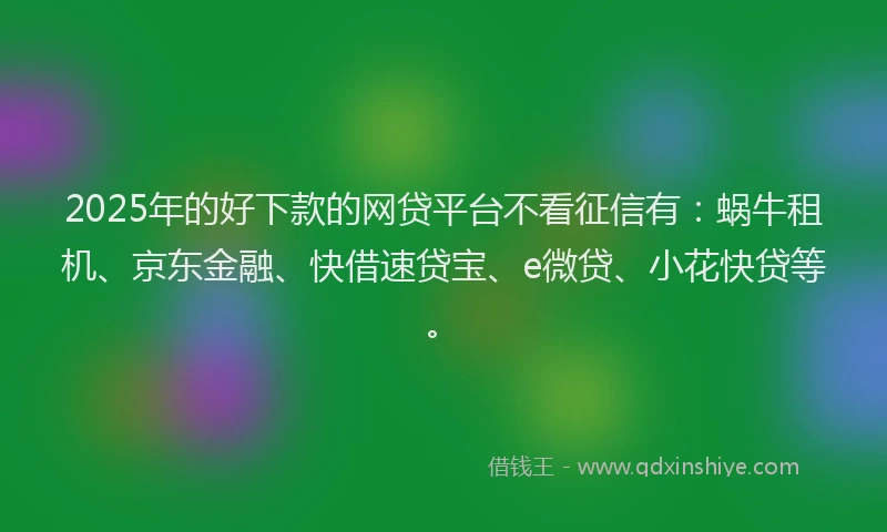2025年的好下款的网贷平台不看征信有：蜗牛租机、京东金融、快借速贷宝、e微贷、小花快贷等。