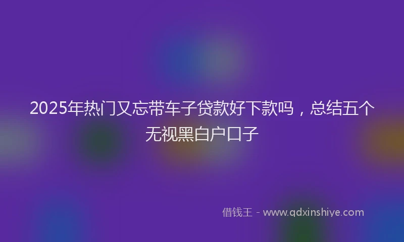 2025年热门又忘带车子贷款好下款吗，总结五个无视黑白户口子