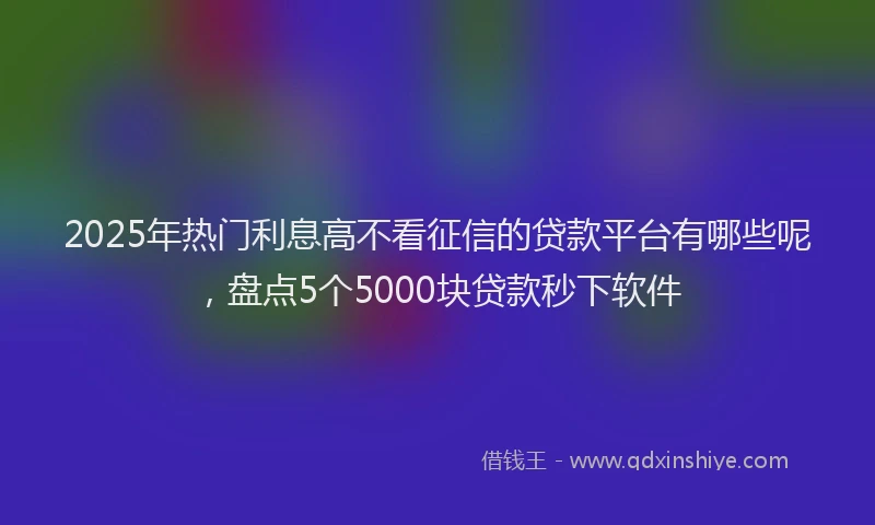 2025年热门利息高不看征信的贷款平台有哪些呢，盘点5个5000块贷款秒下软件
