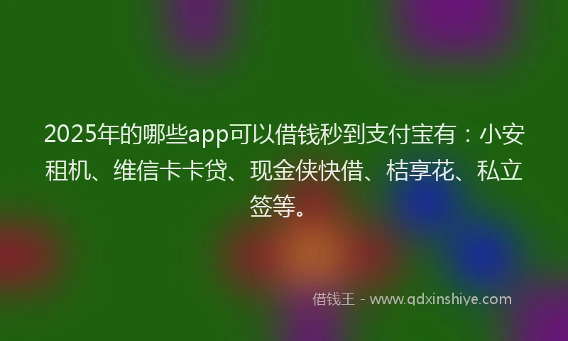 2025年的哪些app可以借钱秒到支付宝有：小安租机、维信卡卡贷、现金侠快借、桔享花、私立签等。