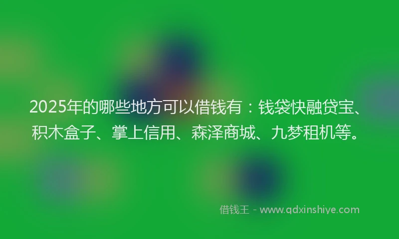 2025年的哪些地方可以借钱有：钱袋快融贷宝、积木盒子、掌上信用、森泽商城、九梦租机等。