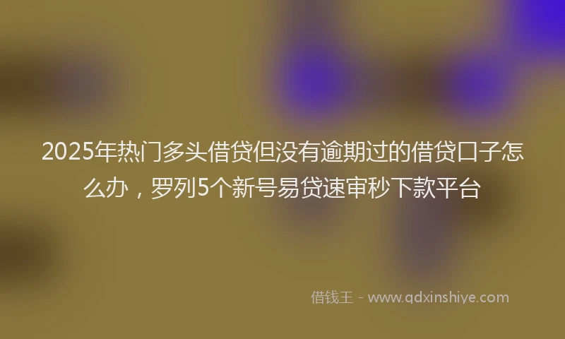 2025年热门多头借贷但没有逾期过的借贷口子怎么办，罗列5个新号易贷速审秒下款平台
