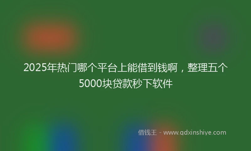 2025年热门哪个平台上能借到钱啊，整理五个5000块贷款秒下软件