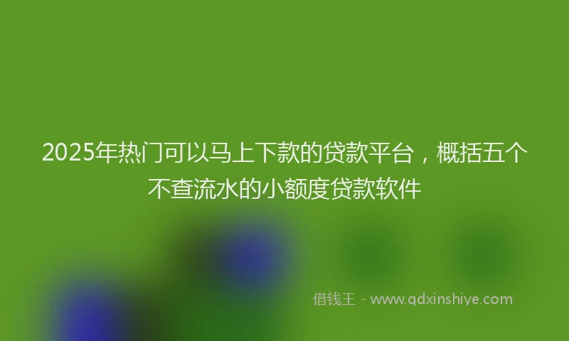 2025年热门可以马上下款的贷款平台，概括五个不查流水的小额度贷款软件