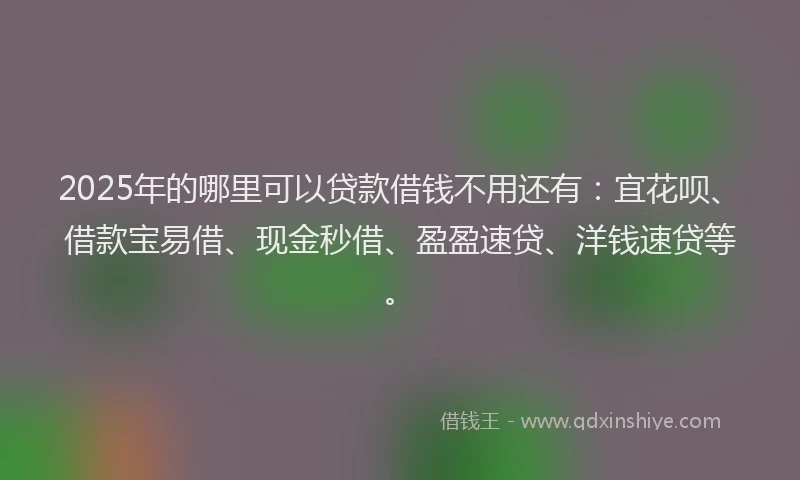 2025年的哪里可以贷款借钱不用还有：宜花呗、借款宝易借、现金秒借、盈盈速贷、洋钱速贷等。