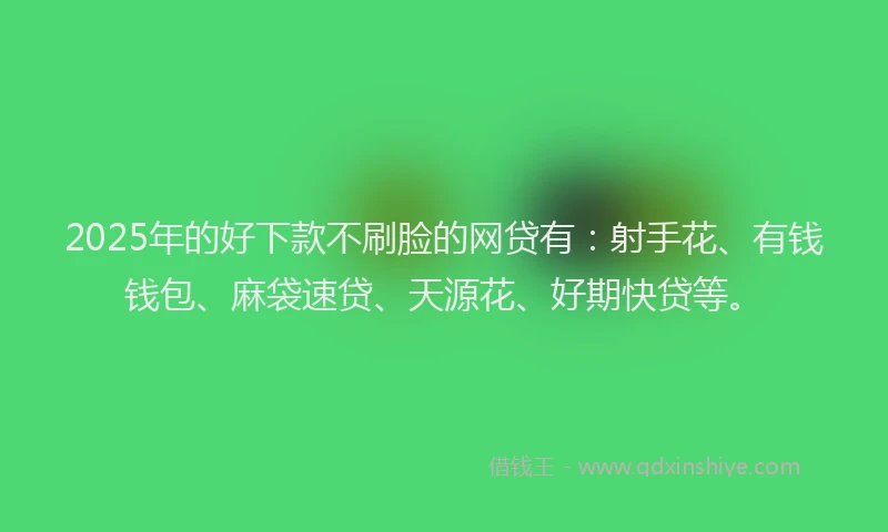 2025年的好下款不刷脸的网贷有：射手花、有钱钱包、麻袋速贷、天源花、好期快贷等。