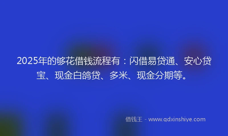 2025年的够花借钱流程有：闪借易贷通、安心贷宝、现金白鸽贷、多米、现金分期等。