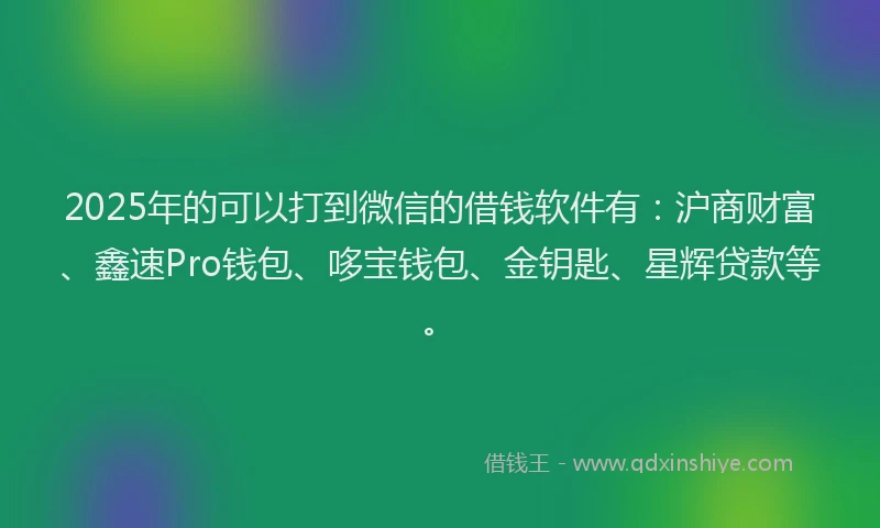 2025年的可以打到微信的借钱软件有：沪商财富、鑫速Pro钱包、哆宝钱包、金钥匙、星辉贷款等。