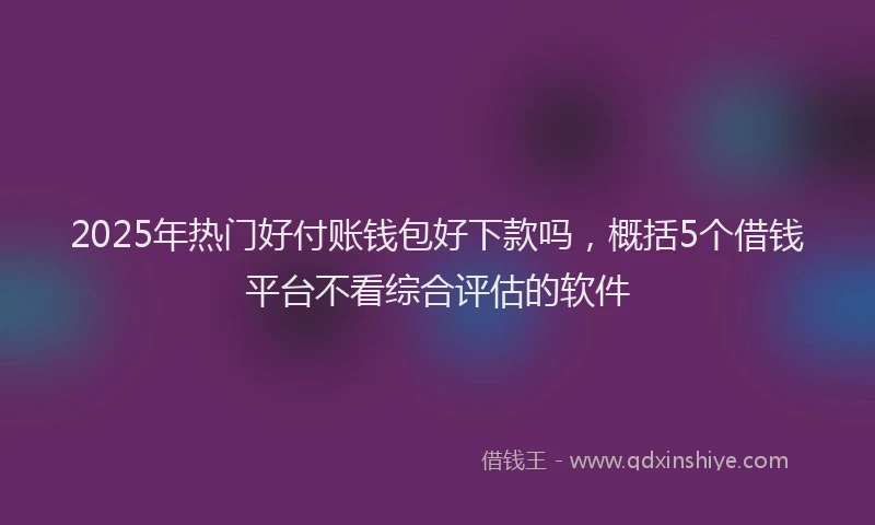 2025年热门好付账钱包好下款吗，概括5个借钱平台不看综合评估的软件