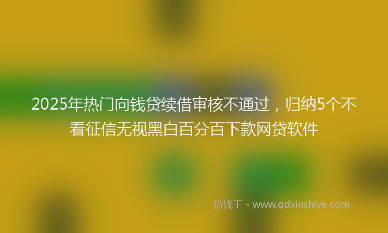 2025年热门向钱贷续借审核不通过，归纳5个不看征信无视黑白百分百下款网贷软件