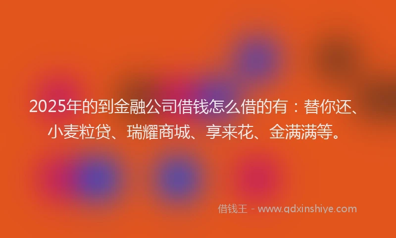 2025年的到金融公司借钱怎么借的有：替你还、小麦粒贷、瑞耀商城、享来花、金满满等。