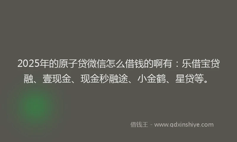 2025年的原子贷微信怎么借钱的啊有：乐借宝贷融、壹现金、现金秒融途、小金鹤、星贷等。