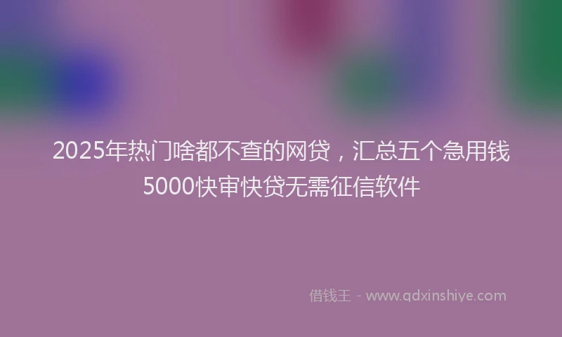 2025年热门啥都不查的网贷，汇总五个急用钱5000快审快贷无需征信软件