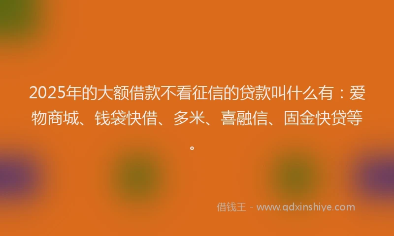 2025年的大额借款不看征信的贷款叫什么有：爱物商城、钱袋快借、多米、喜融信、固金快贷等。