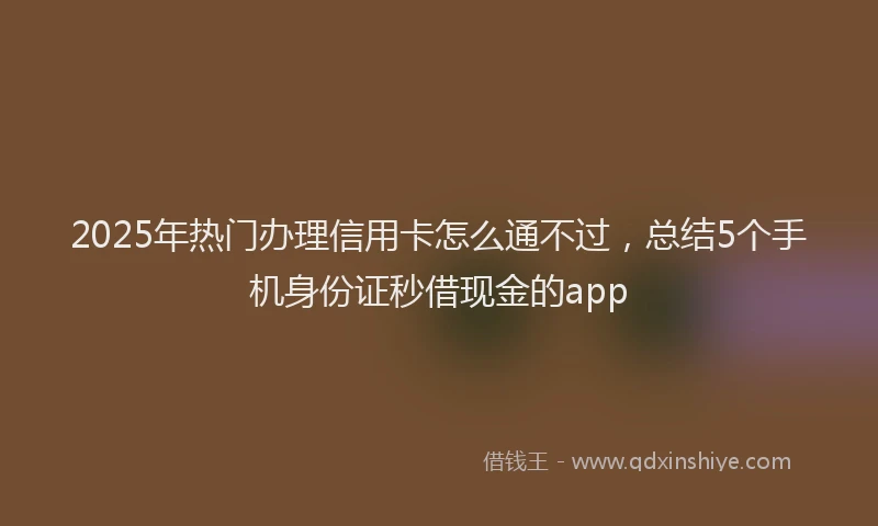 2025年热门办理信用卡怎么通不过，总结5个手机身份证秒借现金的app