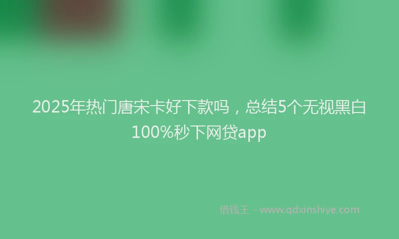2025年热门唐宋卡好下款吗，总结5个无视黑白100%秒下网贷app
