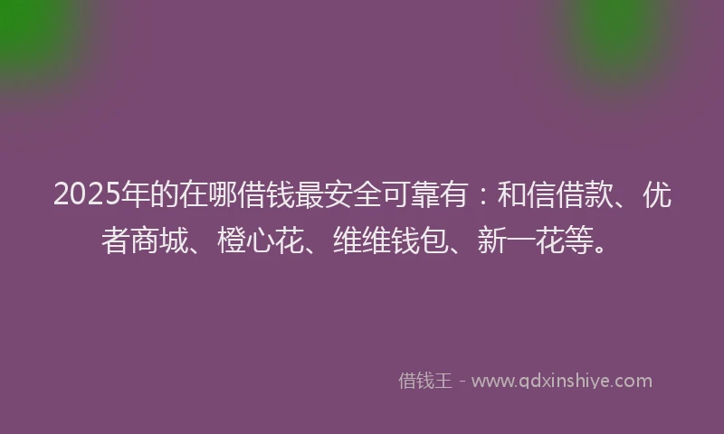 2025年的在哪借钱最安全可靠有：和信借款、优者商城、橙心花、维维钱包、新一花等。