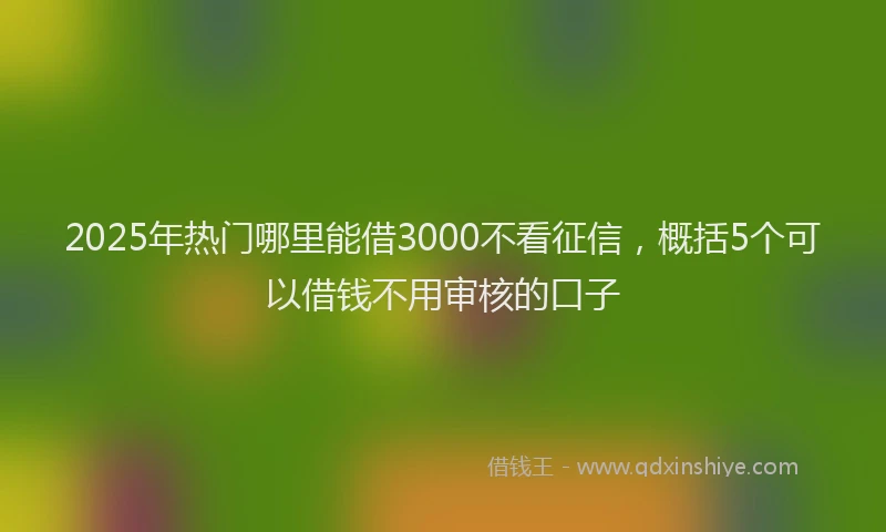 2025年热门哪里能借3000不看征信，概括5个可以借钱不用审核的口子
