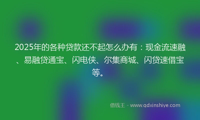 2025年的各种贷款还不起怎么办有：现金流速融、易融贷通宝、闪电侠、尔集商城、闪贷速借宝等。