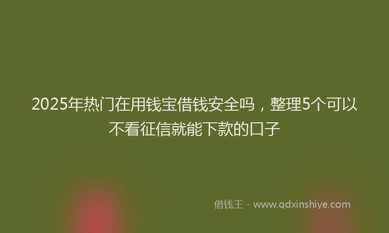 2025年热门在用钱宝借钱安全吗，整理5个可以不看征信就能下款的口子