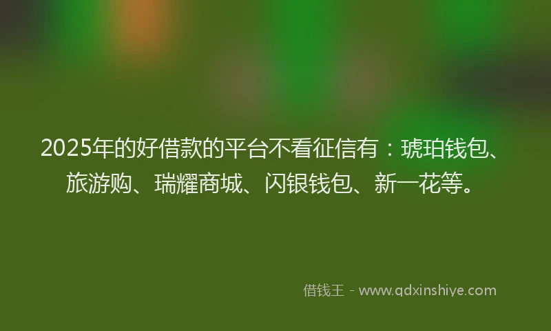 2025年的好借款的平台不看征信有：琥珀钱包、旅游购、瑞耀商城、闪银钱包、新一花等。