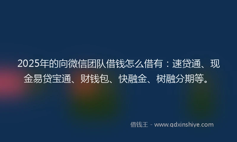 2025年的向微信团队借钱怎么借有：速贷通、现金易贷宝通、财钱包、快融金、树融分期等。