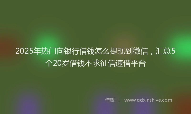 2025年热门向银行借钱怎么提现到微信，汇总5个20岁借钱不求征信速借平台