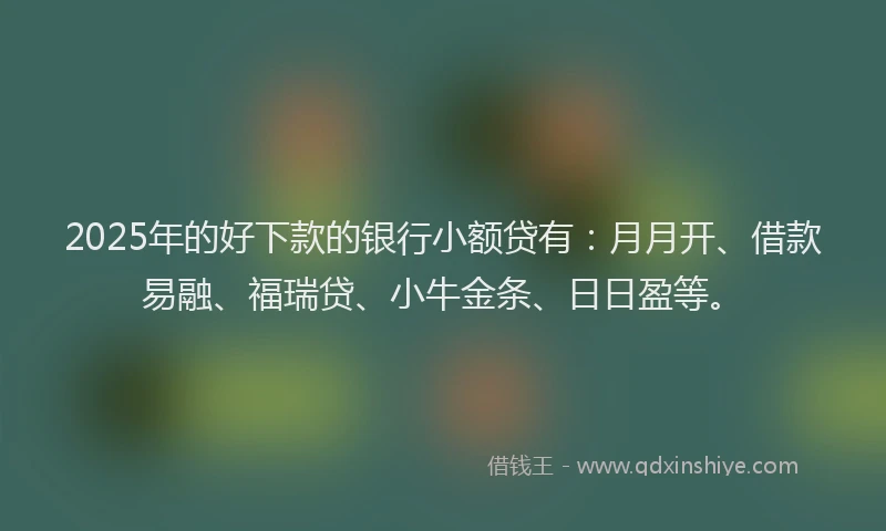 2025年的好下款的银行小额贷有：月月开、借款易融、福瑞贷、小牛金条、日日盈等。