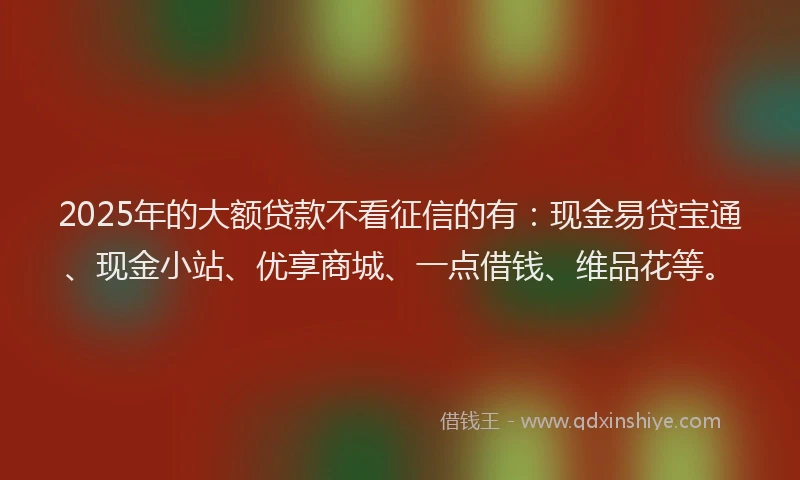 2025年的大额贷款不看征信的有：现金易贷宝通、现金小站、优享商城、一点借钱、维品花等。