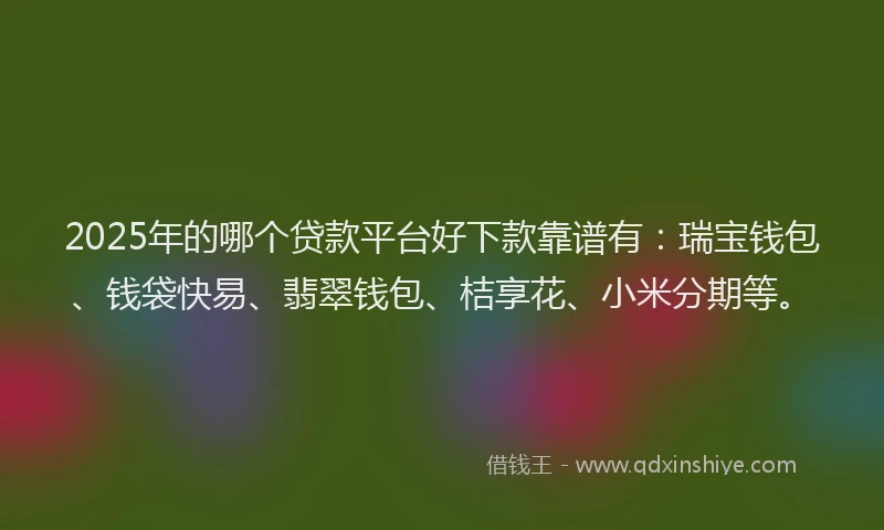 2025年的哪个贷款平台好下款靠谱有：瑞宝钱包、钱袋快易、翡翠钱包、桔享花、小米分期等。
