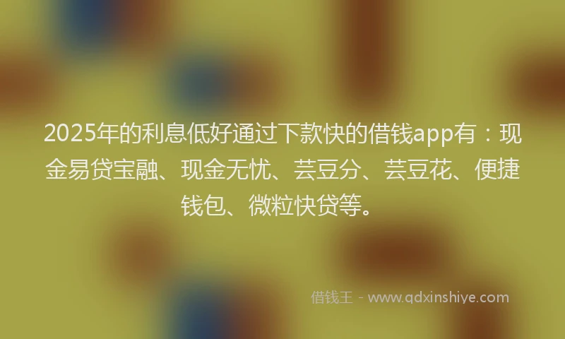 2025年的利息低好通过下款快的借钱app有：现金易贷宝融、现金无忧、芸豆分、芸豆花、便捷钱包、微粒快贷等。