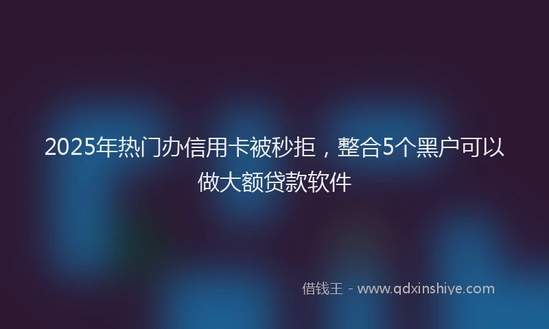 2025年热门办信用卡被秒拒，整合5个黑户可以做大额贷款软件