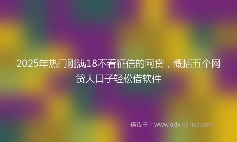 2025年热门刚满18不看征信的网贷，概括五个网贷大口子轻松借软件