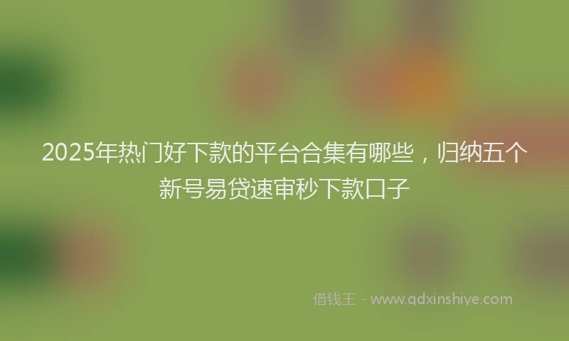 2025年热门好下款的平台合集有哪些，归纳五个新号易贷速审秒下款口子