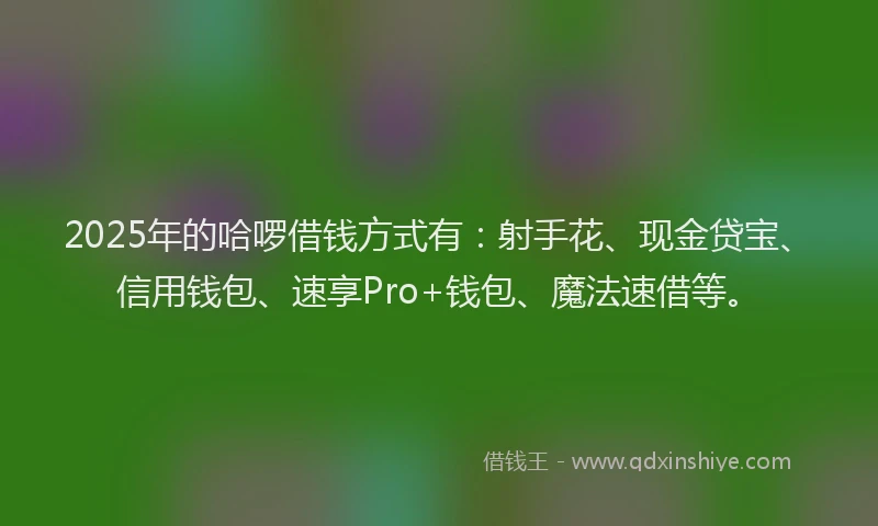 2025年的哈啰借钱方式有：射手花、现金贷宝、信用钱包、速享Pro+钱包、魔法速借等。