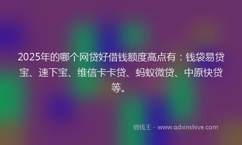 2025年的哪个网贷好借钱额度高点有：钱袋易贷宝、速下宝、维信卡卡贷、蚂蚁微贷、中原快贷等。