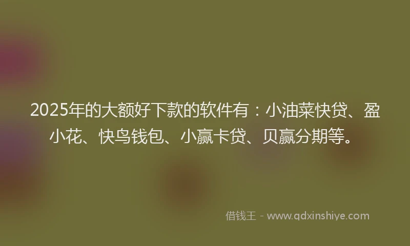 2025年的大额好下款的软件有：小油菜快贷、盈小花、快鸟钱包、小赢卡贷、贝赢分期等。