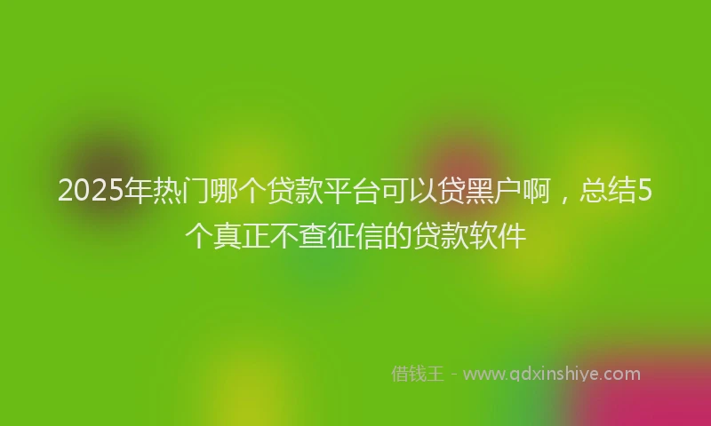 2025年热门哪个贷款平台可以贷黑户啊，总结5个真正不查征信的贷款软件