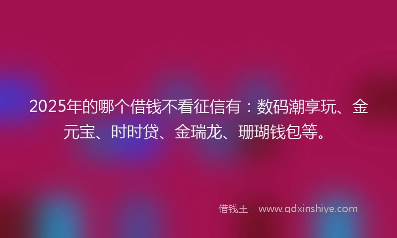 2025年的哪个借钱不看征信有：数码潮享玩、金元宝、时时贷、金瑞龙、珊瑚钱包等。