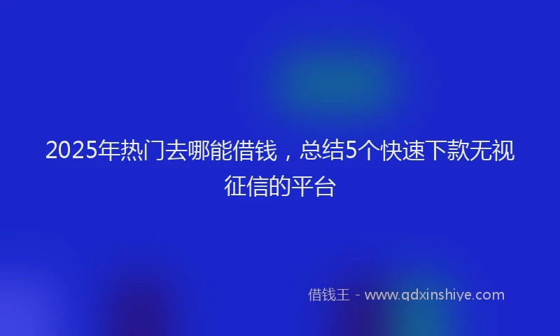2025年热门去哪能借钱，总结5个快速下款无视征信的平台