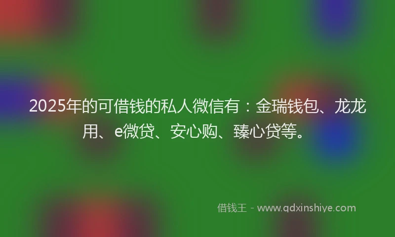 2025年的可借钱的私人微信有：金瑞钱包、龙龙用、e微贷、安心购、臻心贷等。