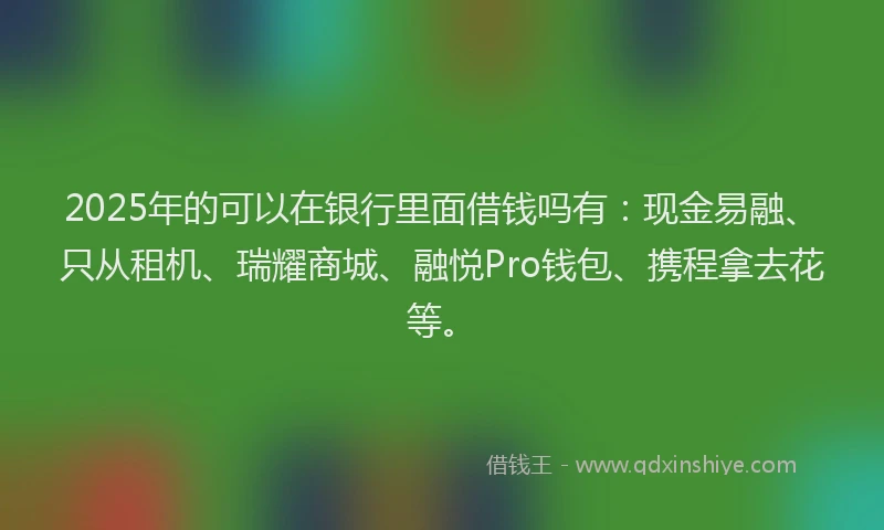 2025年的可以在银行里面借钱吗有：现金易融、只从租机、瑞耀商城、融悦Pro钱包、携程拿去花等。