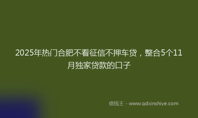 2025年热门合肥不看征信不押车贷，整合5个11月独家贷款的口子