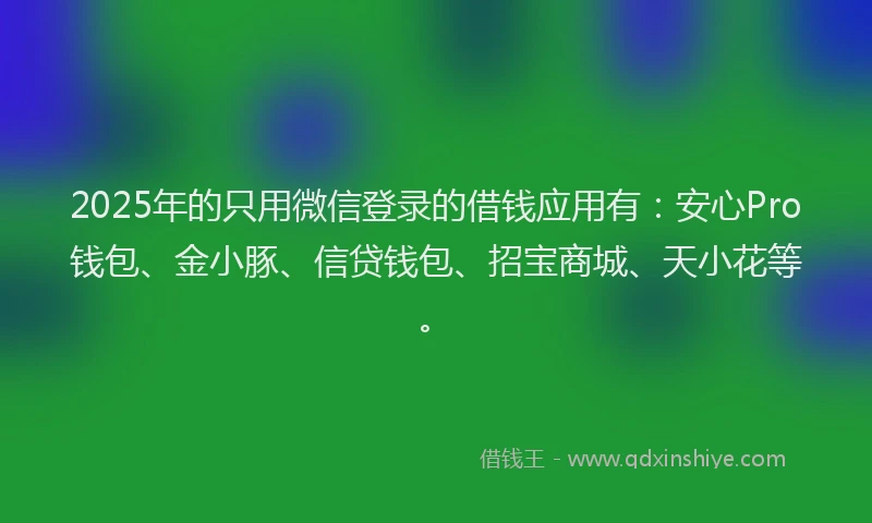 2025年的只用微信登录的借钱应用有：安心Pro钱包、金小豚、信贷钱包、招宝商城、天小花等。