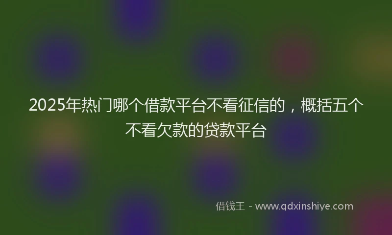 2025年热门哪个借款平台不看征信的，概括五个不看欠款的贷款平台