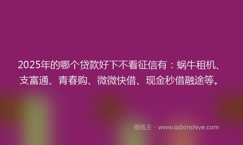 2025年的哪个贷款好下不看征信有：蜗牛租机、支富通、青春购、微微快借、现金秒借融途等。