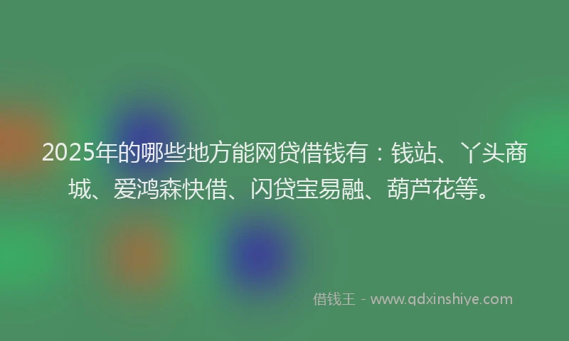 2025年的哪些地方能网贷借钱有：钱站、丫头商城、爱鸿森快借、闪贷宝易融、葫芦花等。
