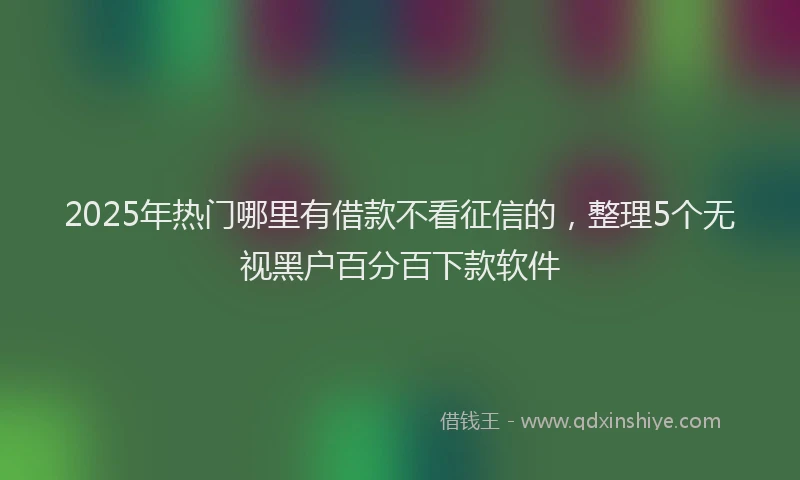 2025年热门哪里有借款不看征信的，整理5个无视黑户百分百下款软件